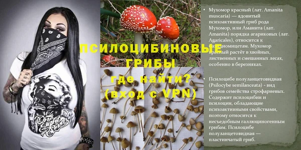 spice Белоозёрский