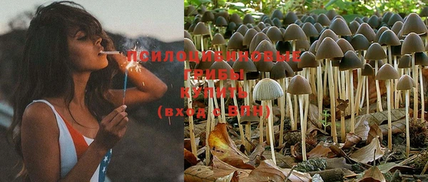 круглые Белокуриха